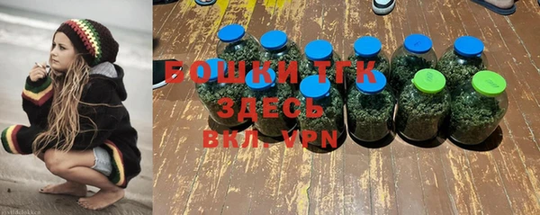 spice Бронницы